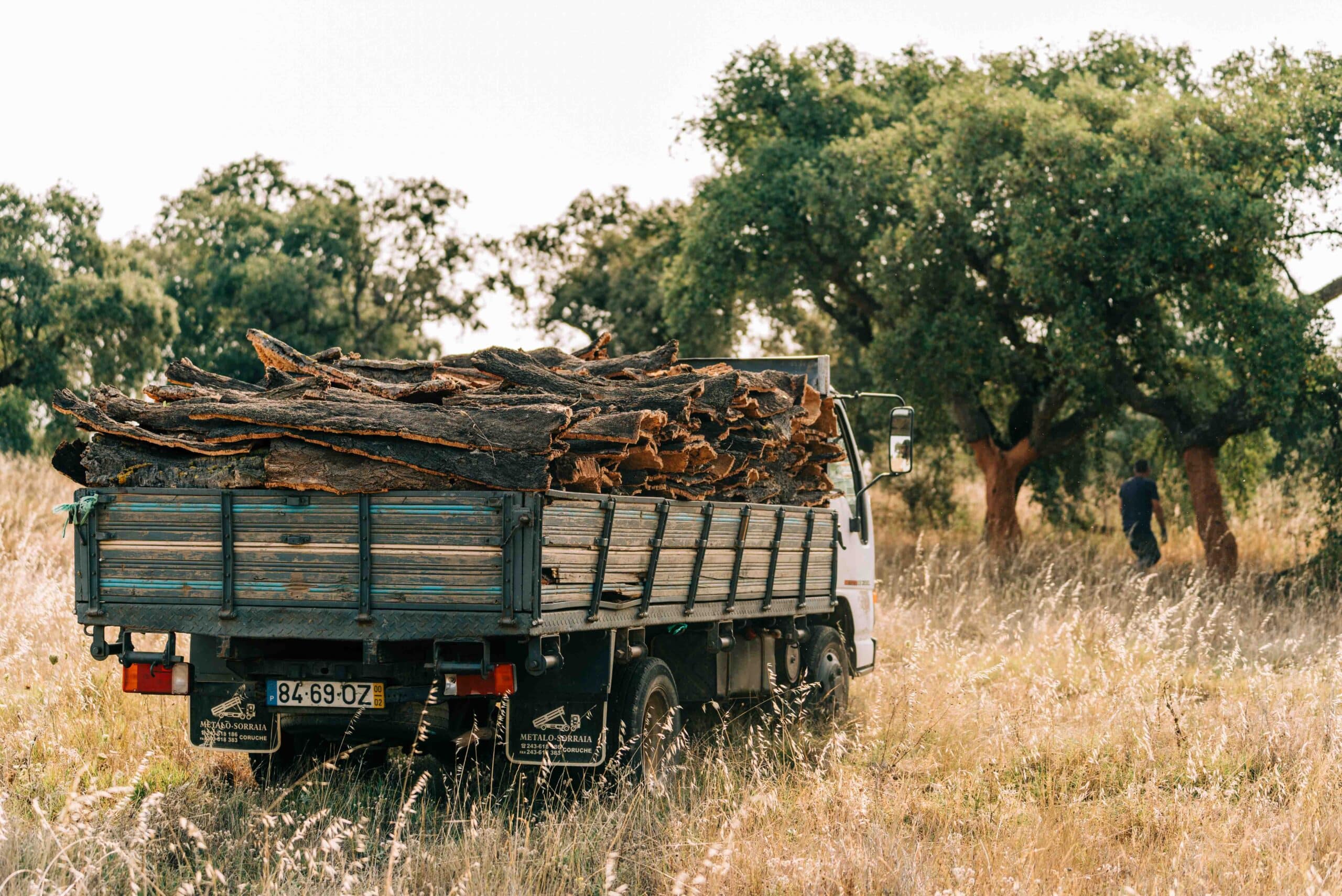 Cortiça in Alentejo