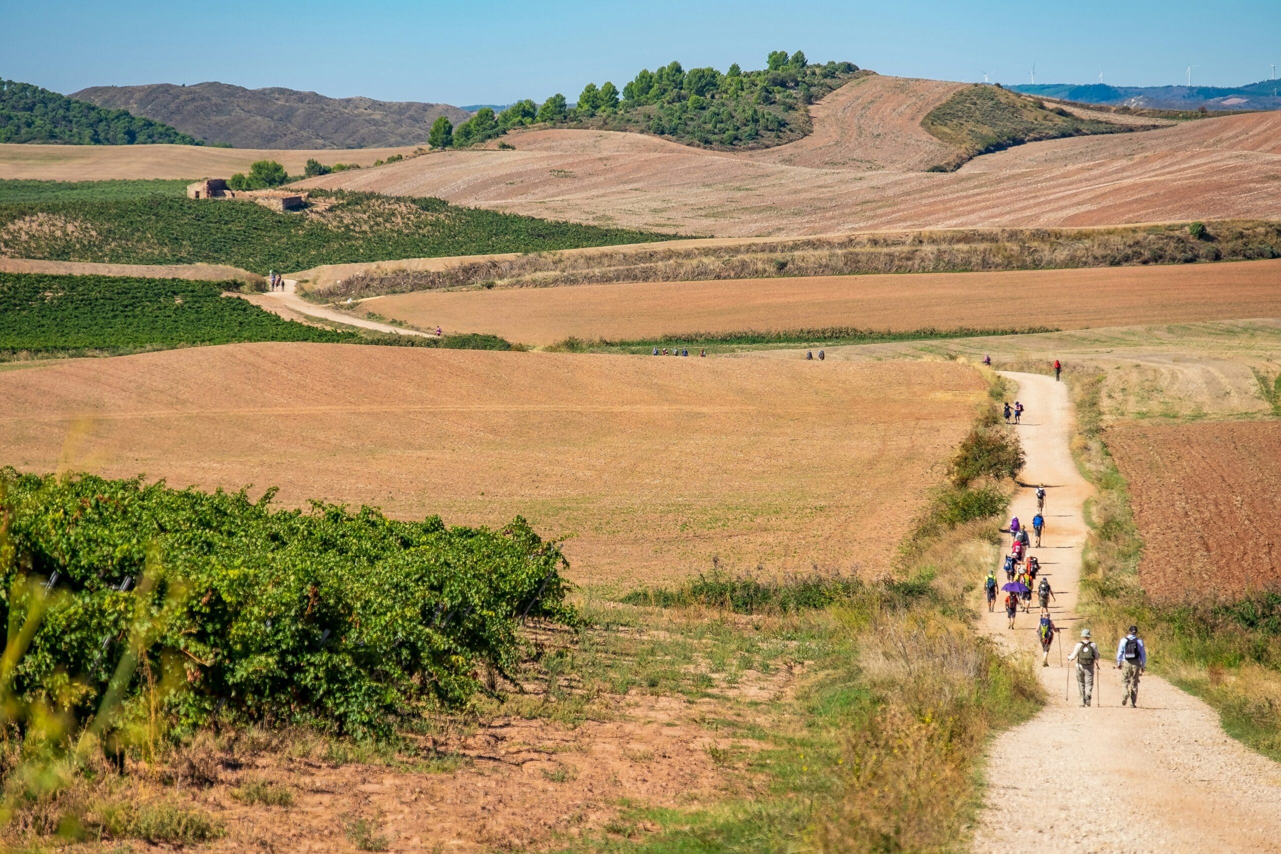 Camino de Santiago: St James Way